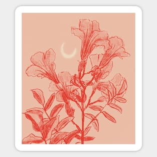 Luna | Coral Haze Version Sticker